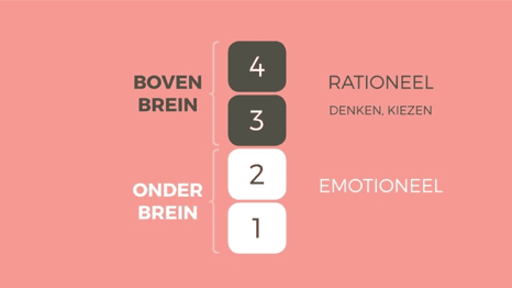 Dit is (het geheim achter) Tessa